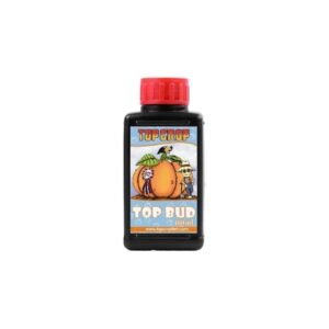 TOP BUD (250 M