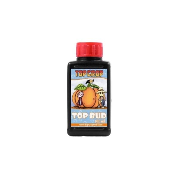TOP BUD (250 M