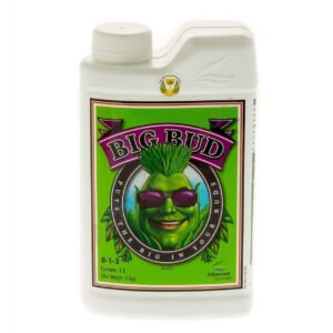 ADVANCED - BIG BUD (500 ML)