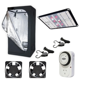 Carpa 80X80 + Q150 + Timer + Poleas + 2 Coolers (OFF transf. o efect)