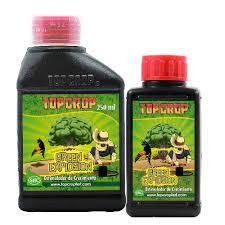 GREEN EXPLOSION (100 ML)