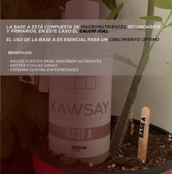 Kawsay Combo - 2 lt - Imagen 2