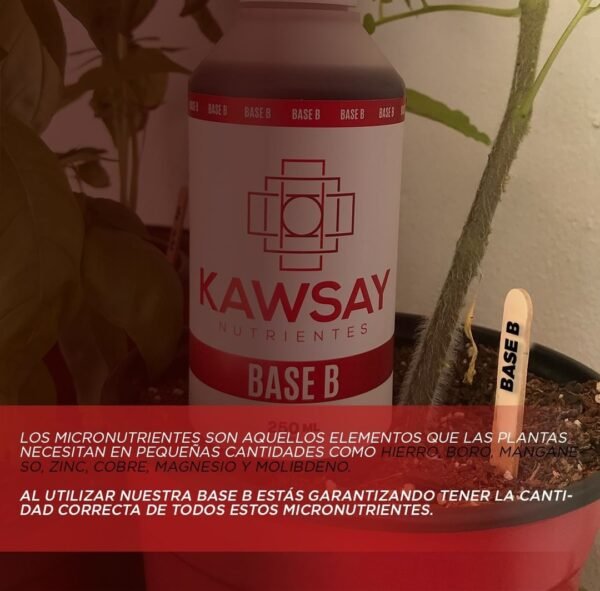 Kawsay Combo - 2 lt - Imagen 3