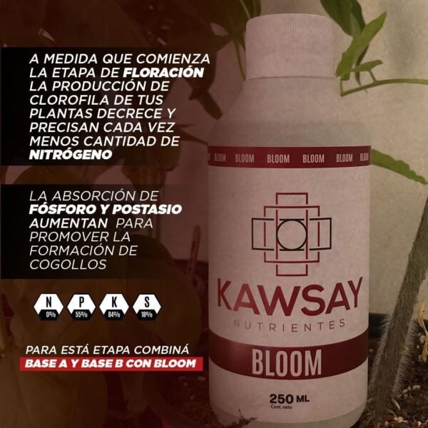Kawsay Combo - 2 lt - Imagen 4