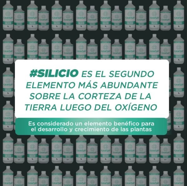 Kawsay - Silicio (1 lt) - Imagen 2