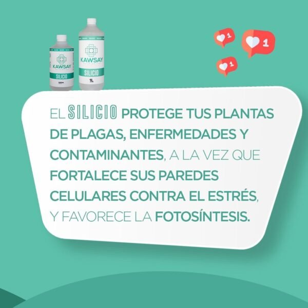 Kawsay - Silicio (1 lt) - Imagen 3