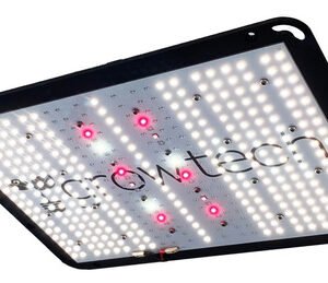 Quantum Board Q150 Growtech (Descuentos por tranf o efectivo)