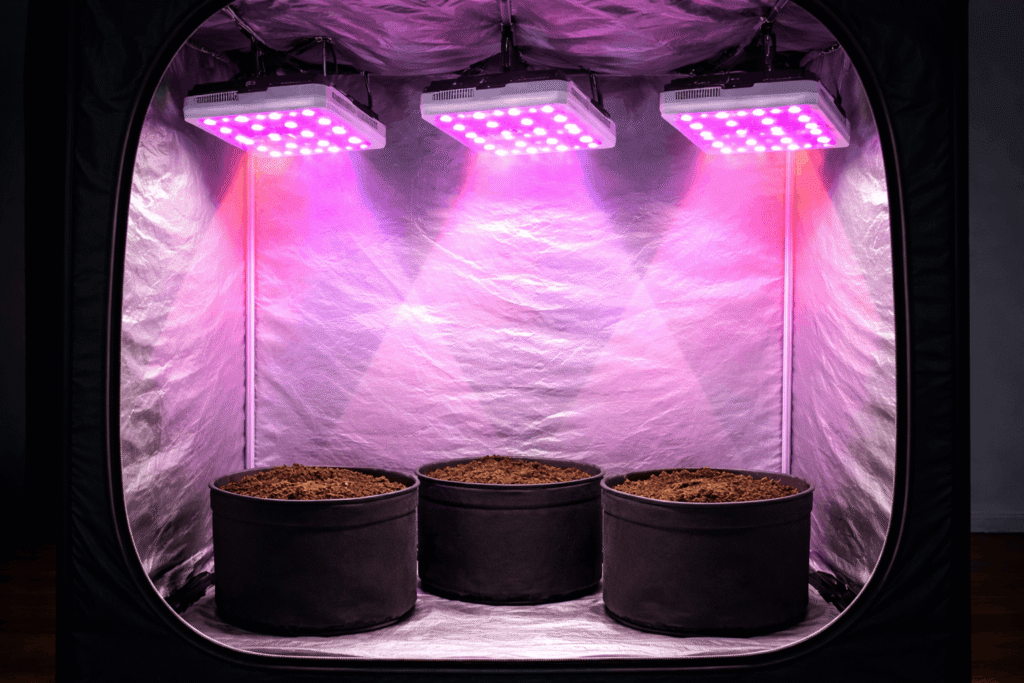 espectro de luz en cultivo indoor