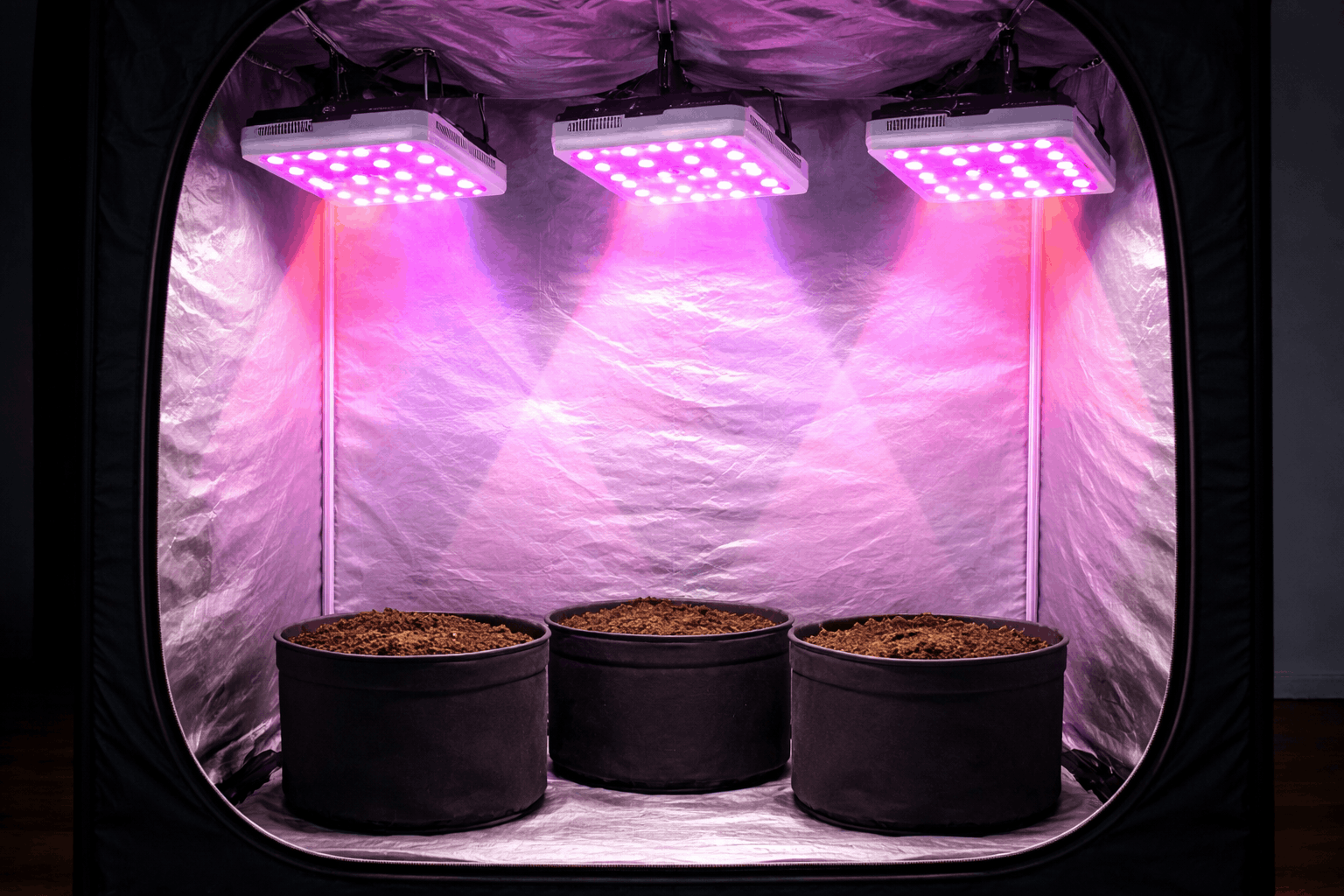 espectro de luz en cultivo indoor